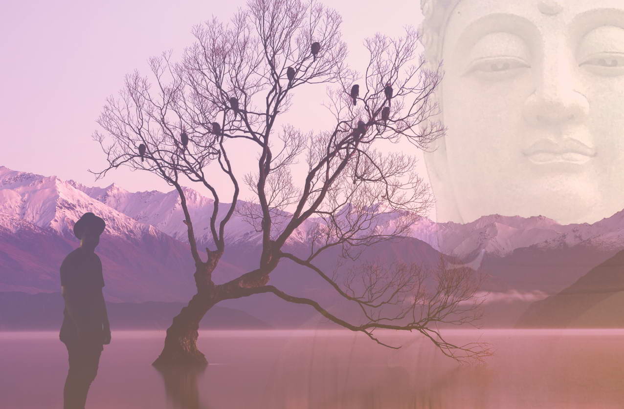 Appearance test course CS2002